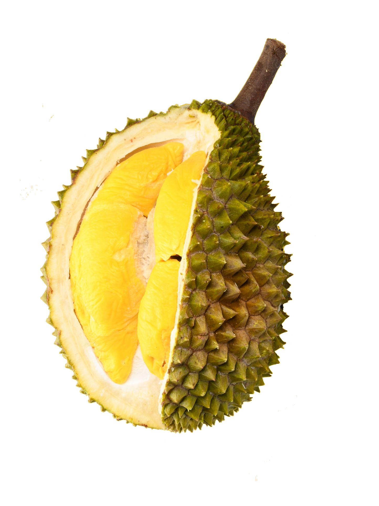 Durian Monthong